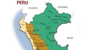 Peru: more than 130 children affected by pneumonia due to cold weather